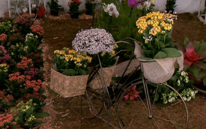 Prefeitura promove reunião com produtores sobre a Festa das Rosas