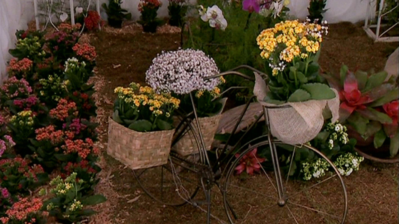 Prefeitura promove reunião com produtores sobre a Festa das Rosas