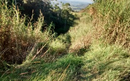 CARRO COM DOIS OCUPANTES  CAI EM ABISMO A MAIS DE 40 METROS