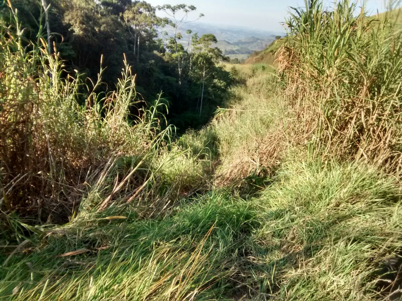 CARRO COM DOIS OCUPANTES  CAI EM ABISMO A MAIS DE 40 METROS