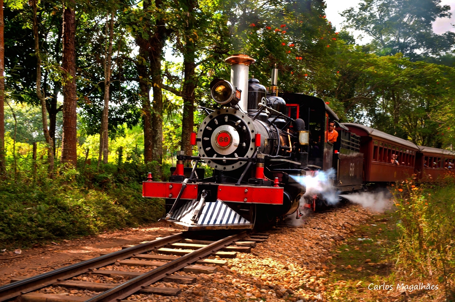 Passeio de Maria Fumaça a São João del Rei