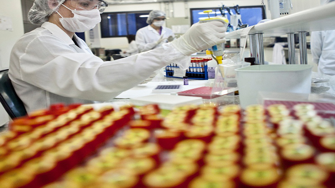 Funed submete propostas de parcerias para produção de insulina e medicamentos para câncer