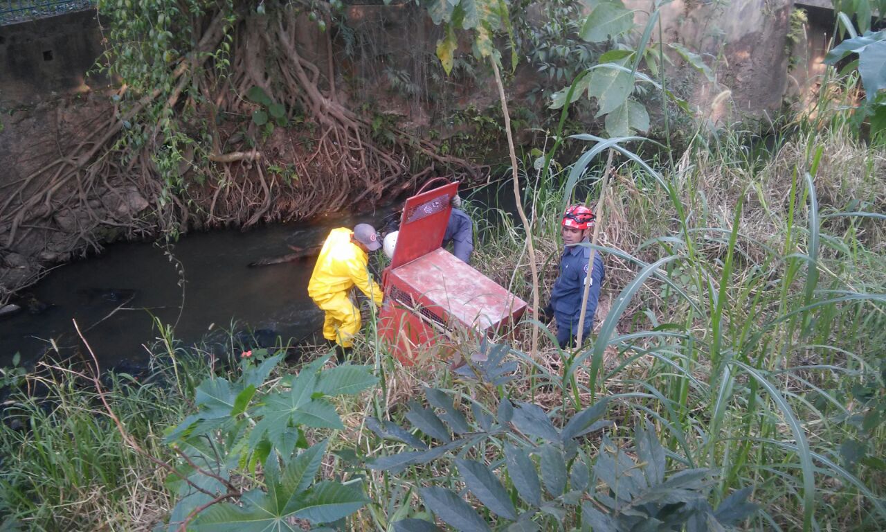 BOMBEIROS DE LAFAIETE CAPTURAM CAPIVARA