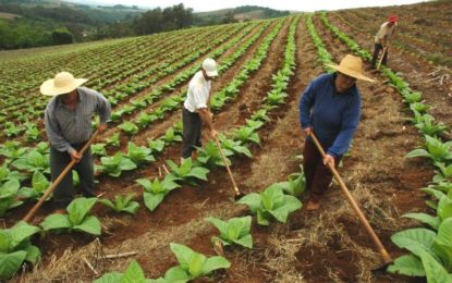 Plano Safra 2017/2018 vai disponibilizar R$ 103 bilhões para o agronegócio nacional