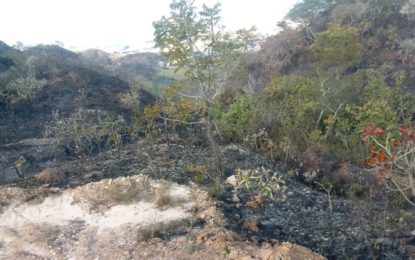 INCÊNDIO ATINGE A SERRA DO LENHEIRO