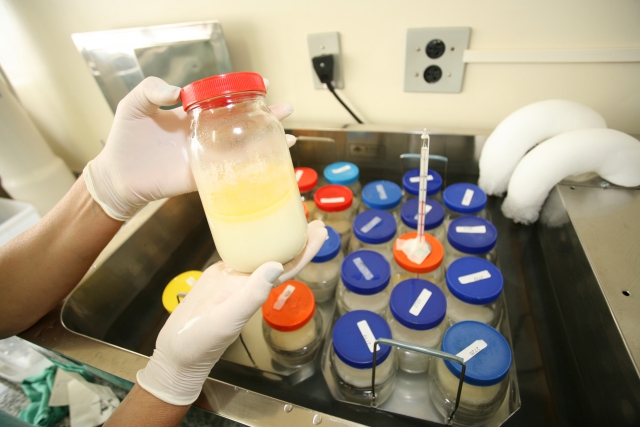 Semana Mundial de Aleitamento Materno reforça importância da amamentação