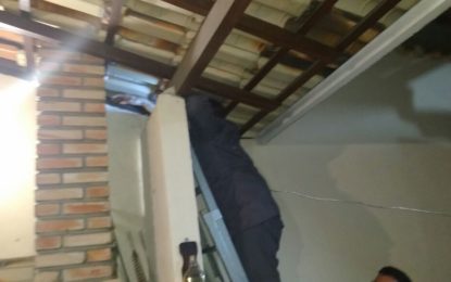 GATO É RESGATADO DE CHAMINÉ DE CHURRASQUEIRA