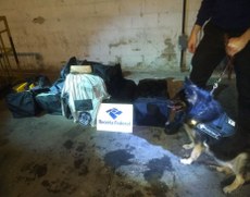 Receita Federal e Polícia Federal da Bahia apreendem 218,5 kg de cocaína no porto de Salvador