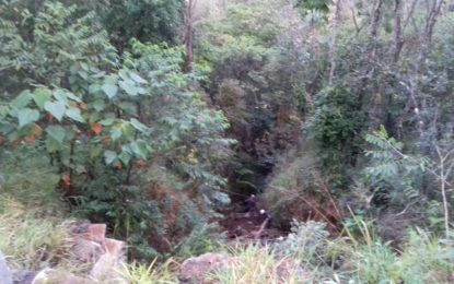 VEÍCULO CAI EM ABISMO NA MG 129