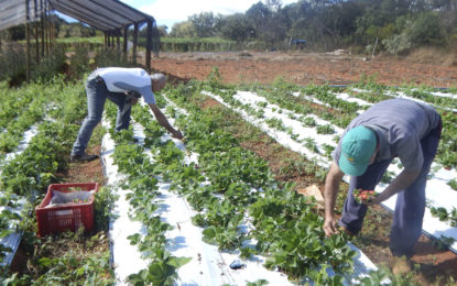 Encontro na Serra da Mantiqueira irá discutir a produção agroecológica