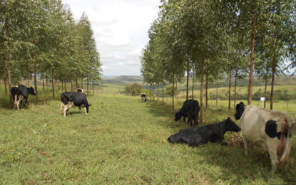 Sistema de Agricultura de Minas Gerais promove reunião com produtores e lideranças no Leste do Estado