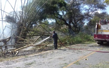 INCÊNDIO EM VEGETAÇÃO INTERDITA BR 482