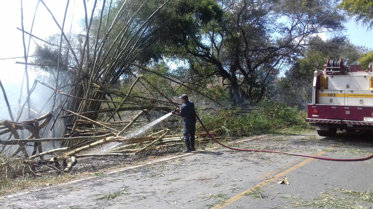 INCÊNDIO EM VEGETAÇÃO INTERDITA BR 482