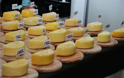 Concurso estadual do queijo minas artesanal será realizado pela primeira vez no Festival de Gastronomia de Tiradentes