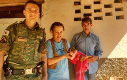 FILHOTE DE ONÇA JAGUATIRICA É RECOLHIDO E ENTREGUE A POLICIA MILITAR DO MEIO AMBIENTE