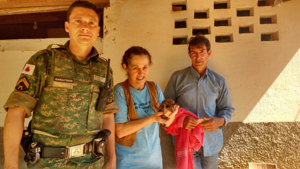 FILHOTE DE ONÇA JAGUATIRICA É RECOLHIDO E ENTREGUE A POLICIA MILITAR DO MEIO AMBIENTE