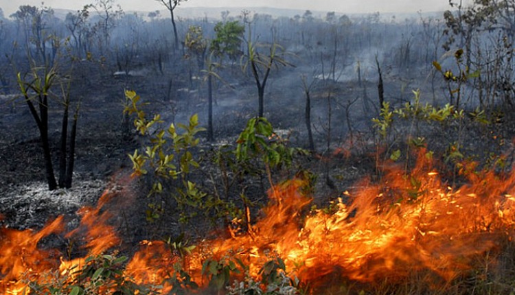 INCÊNDIO EM COLHEITADEIRA DESTRÓI PLANTAÇÃO DE TRIGO