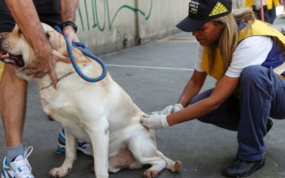 Campanha de Vacinação Antirrábica avança em 26 municípios do Norte de Minas