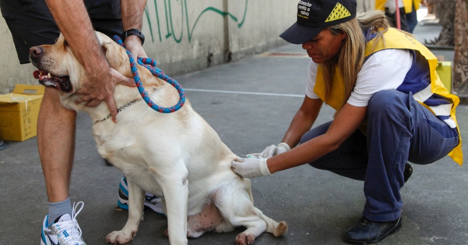 Campanha de Vacinação Antirrábica avança em 26 municípios do Norte de Minas