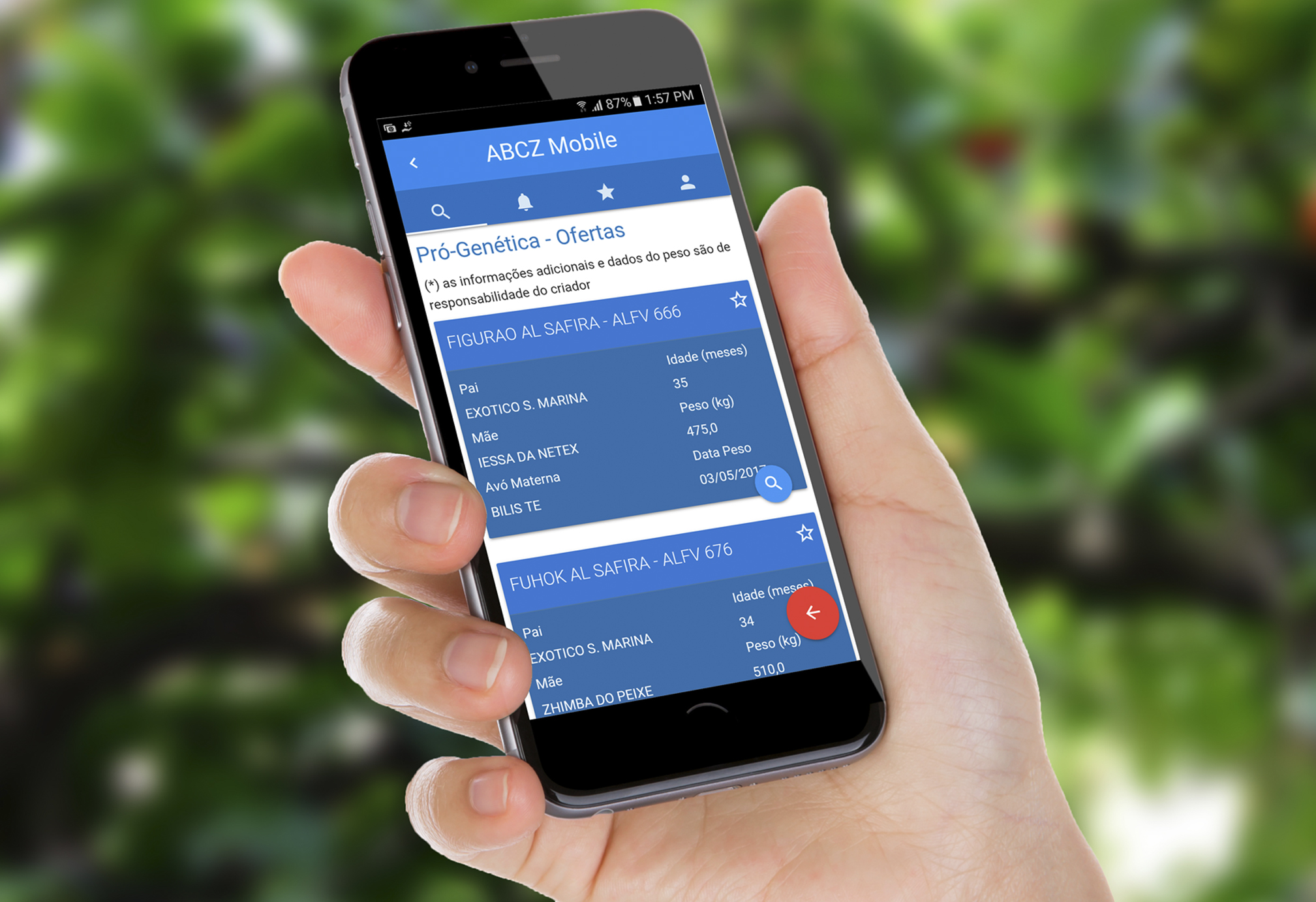 APLICATIVO AJUDA PECUARISTAS DE MINAS GERAIS A COMPRAR TOUROS PARA MELHORIA DO REBANHO