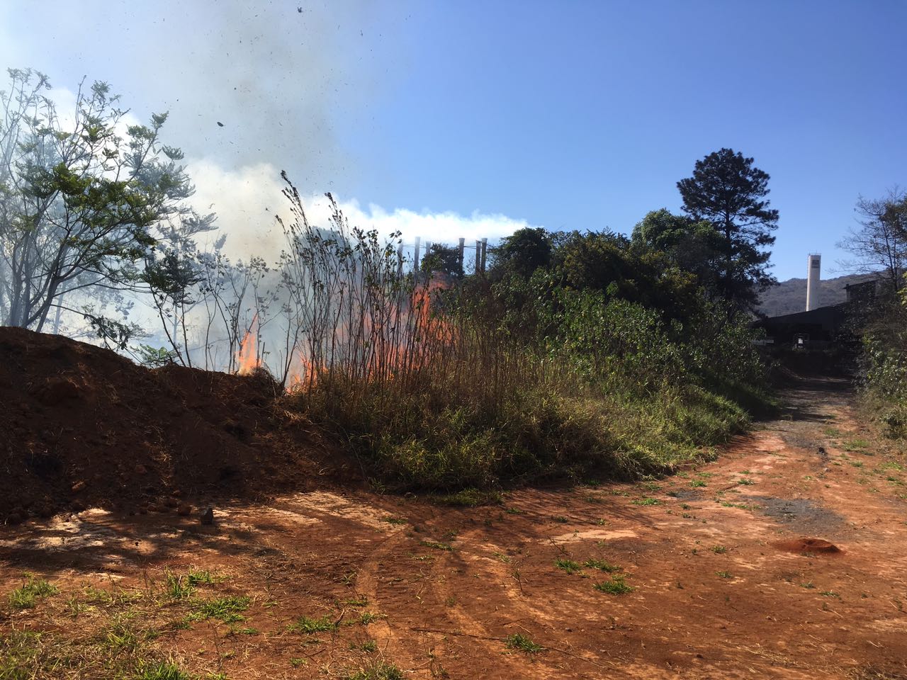 BOMBEIROS COMBATEM INCÊNDIO EM ÁREA INDUSTRIAL/ EM VEGETAÇÃO NA EMPRESA BOZEL