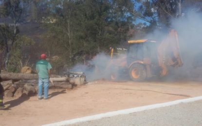 INCÊNDIO ATINGE MADEIRAS EM ÁREA DE CANIL DE BARBACENA