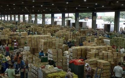 SECRETARIA DA AGRICULTURA DEFENDE TRANSPARÊNCIA NA PRIVATIZAÇÃO DA CEASA MINAS