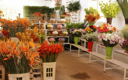 MOSTRA FLORES DE MINAS DESTACA A IMPORTÂNCIA DO SETOR PARA O ESTADO