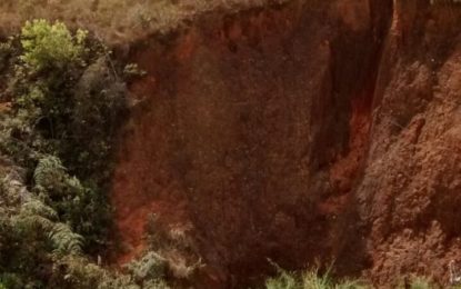 CÃO É RESGATADO DE VALA DE MAIS DE 30 METROS DE PROFUNDIDADE