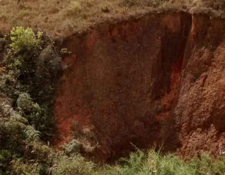 CÃO É RESGATADO DE VALA DE MAIS DE 30 METROS DE PROFUNDIDADE