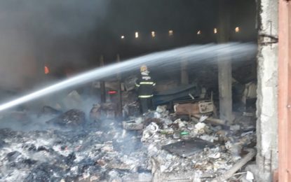 INCÊNDIO EM VEGETACAO CAUSA DESTRUIÇÃO DE GALPÃO DE MATERIAL DE  RECICLAGEM