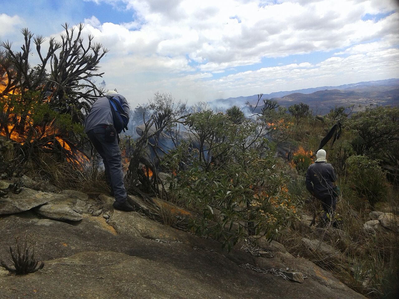 INCÊNDIOS EM VEGETAÇÃO CAUSAM PROBLEMAS NA REGIÃO