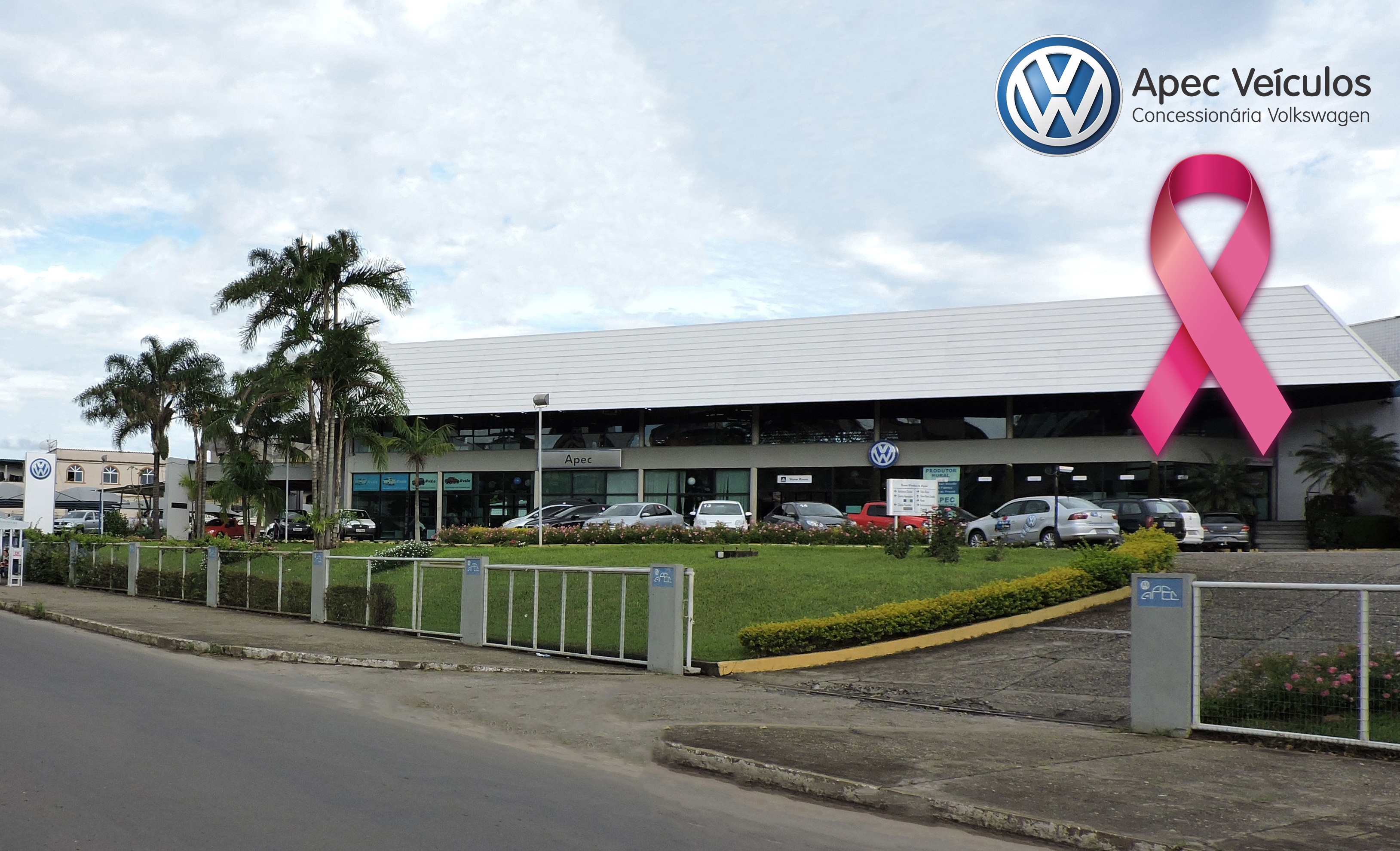 APEC VEÍCULOS BARBACENA NA CAMPANHA SOLIDÁRIA EM APOIO AO OUTUBRO ROSA