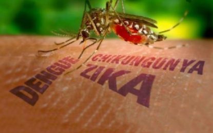 BOLETIM EPIDEMIOLÓGICO DE MONITORAMENTO DOS CASOS DE DENGUE, CHIKUNGUNYA E ZIKA VÍRUS (16/10)
