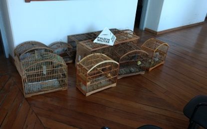 PRINCIPAIS OCORRÊNCIAS DA 13ªCIA PM IND MAT