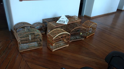 PRINCIPAIS OCORRÊNCIAS DA 13ªCIA PM IND MAT