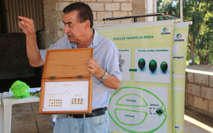 DIA DE CAMPO DESTACA CUIDADOS COM A LAVOURA CAFEEIRA E ALTERNATIVAS PARA A PECUÁRIA LEITEIRA EM-MG