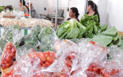 FEIRA AGROECOLÓGICA NO CENTRO DE BARBACENA GARANTE PRODUTOS SEM AGROTÓXICO