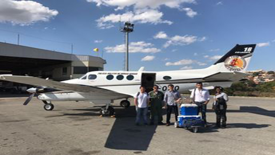 MINAS GERAIS AVANÇA NO NÚMERO DE TRANSPLANTES DE ÓRGÃOS