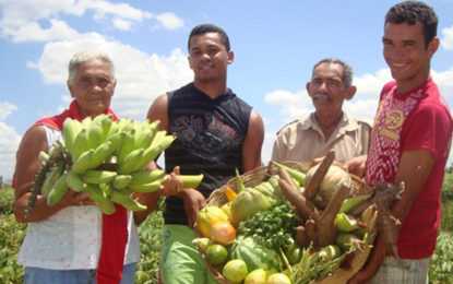 Workshop discute a criação de Sistema Nacional Integrado