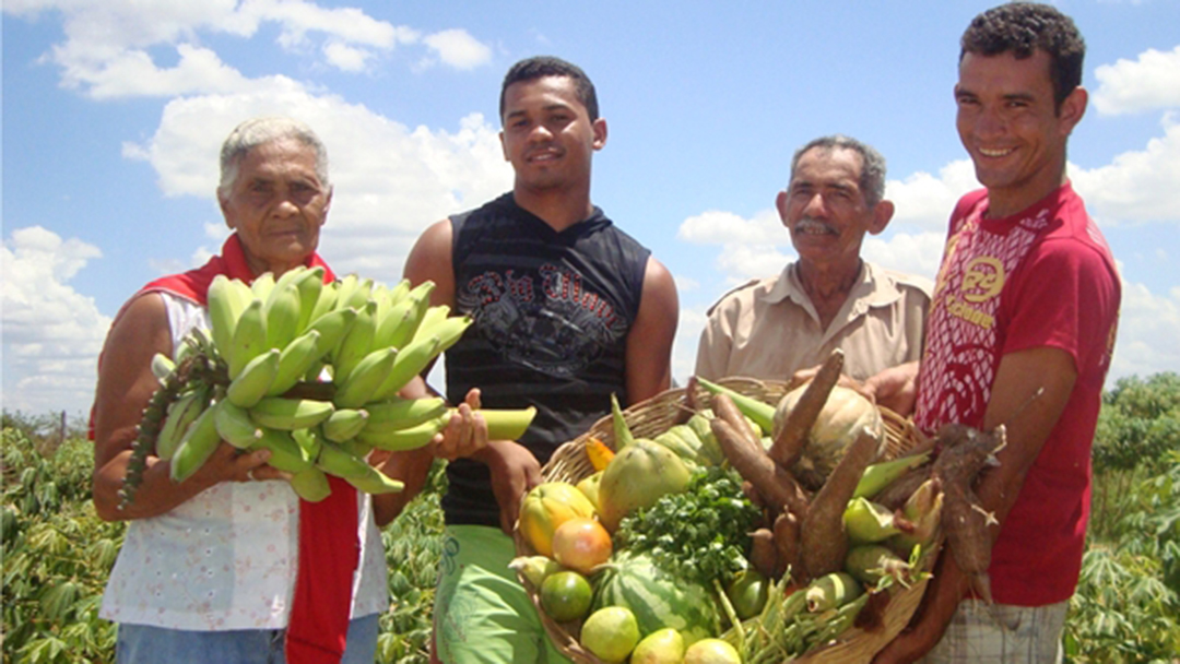 Workshop discute a criação de Sistema Nacional Integrado