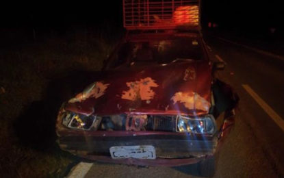 Condutor alcoolizado atropela animais na pista em Ritápolis