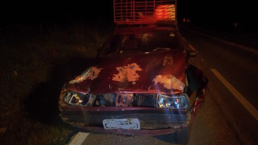 Condutor alcoolizado atropela animais na pista em Ritápolis