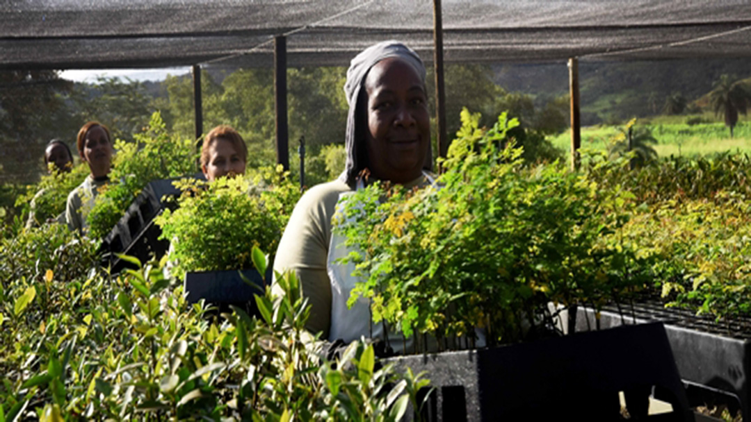 AGRICULTURA FAMILIAR REPRESENTA 30% DAS COMPRAS NO ESTADO