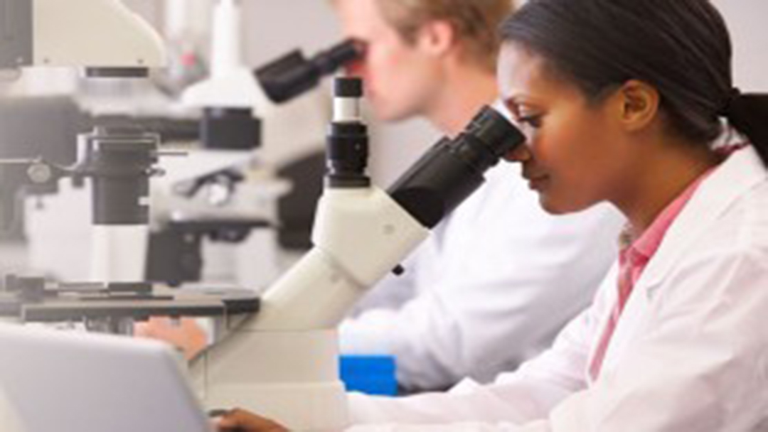 UTRAMIG OFERECE 250 VAGAS PARA CURSOS TÉCNICOS GRATUITOS