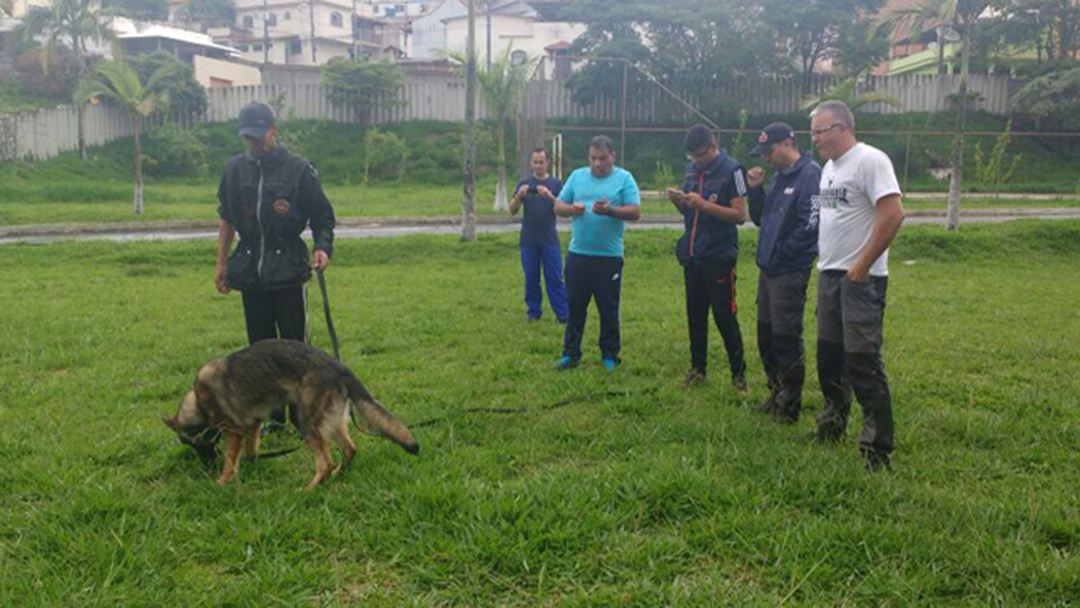 GUARDA MUNICIPAL RECEBE TREINAMENTO SOBRE ADESTRAMENTO DE CÃES