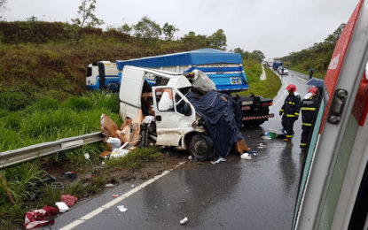 Motorista morre em colisão de veículos na BR-265 altura do km 275 proximidades da localidade de São Sebastião da Vitória