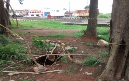 Bombeiros resgatam cadela que caiu em galeria próximo à Rodoviária trevo de Barbacena