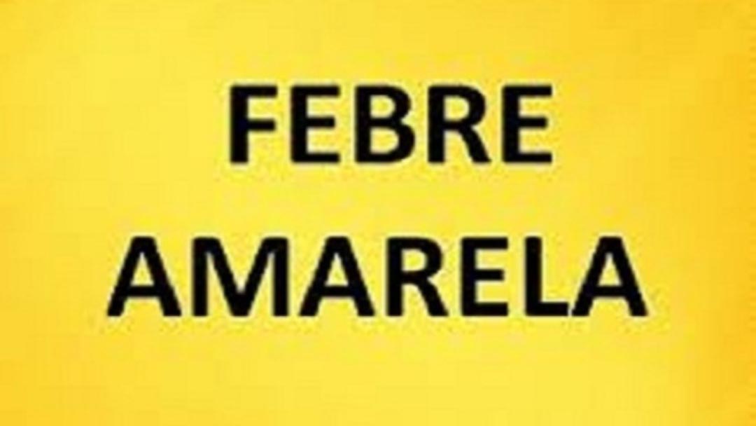 SES-MG informa ocorrência de epizootias por febre amarela em Minas Gerais