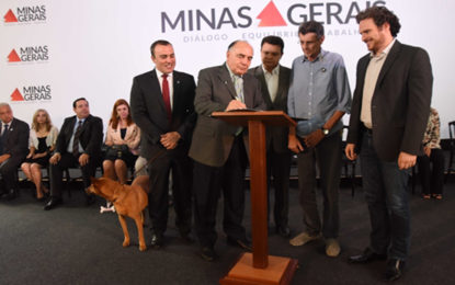 Estado anuncia medidas de combate a maus-tratos contra animais